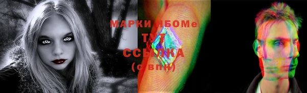 хмурый Осинники