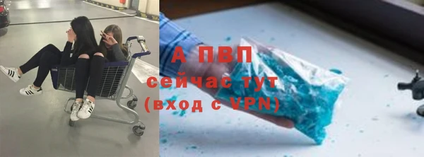гашик Осташков