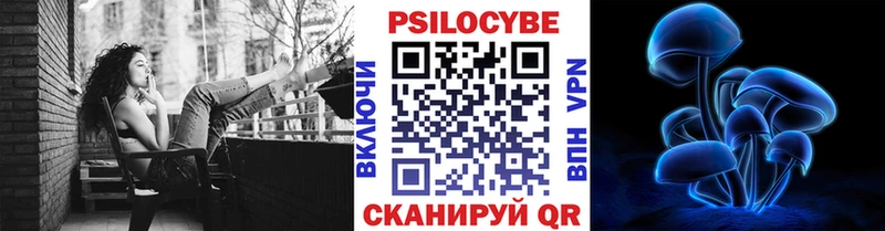 купить закладку  Кингисепп  Псилоцибиновые грибы GOLDEN TEACHER 