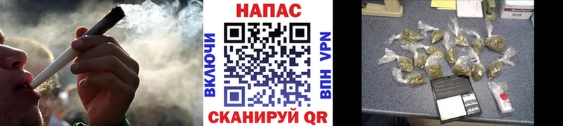 где можно купить наркотик  Кингисепп  МАРИХУАНА AK-47 